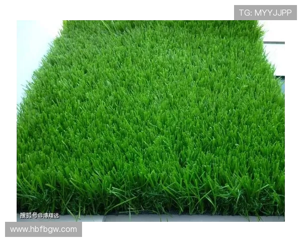 西安进口草皮遭遇高温暴雨侵袭软化 专家呼吁加强草坪适应性研究 西安进口草皮遭遇高温暴雨侵袭软化 专家呼吁加强草坪适应性研究